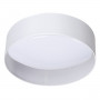 Светодиодный светильник Kanlux RIFA 36461