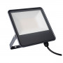 Светодиодный прожектор Kanlux IQ-LED FL 33883