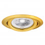 Потолочный светильник Kanlux ARGUS CT-2115-G 304