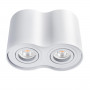 Потолочный светильник Kanlux BORD DLP-250-W 22554