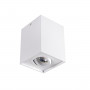 Стельовий точковий світильник Kanlux GORD 25470