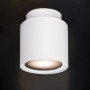 Потолочный точечный светильник Kanlux SONOR GU10 24363