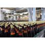 Линейный светодиодный светильник Kanlux TP STRONG 33170