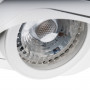Стельовий точковий світильник Kanlux ALREN R 26757
