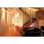 Потолочный светильник Kanlux DALLA CT-DTL50-W 22431