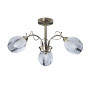 Потолочный светильник Rabalux Joel 2270