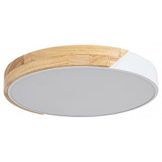 Стельовий світильник Rabalux Maple 3527