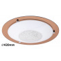 Потолочный светильник Rabalux Patricia 2467