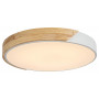Потолочный светильник Rabalux Maple 3527