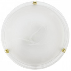 Настенно потолочный светильник Eglo LED SALOME 93281