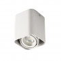 Точечный светильник Kanlux TOLEO DTL50-W 26114