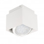 Потолочный светильник Kanlux SONOR L-W 24361