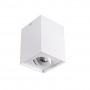 Стельовий точковий світильник Kanlux GORD 25470