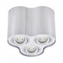 Точковий світильник Kanlux BORD DLP-350-AL 25802