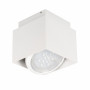 Потолочный светильник Kanlux SONOR L-W 24361