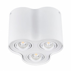 Потолочный светильник Kanlux BORD DLP-350-W 25800