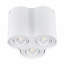 Потолочный светильник Kanlux BORD DLP-350-W 25800