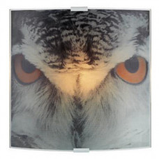 Бра Markslojd Owl 105242
