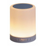 Настільна лампа дитяча Rabalux Kendall 4534 RGB LED, MP3